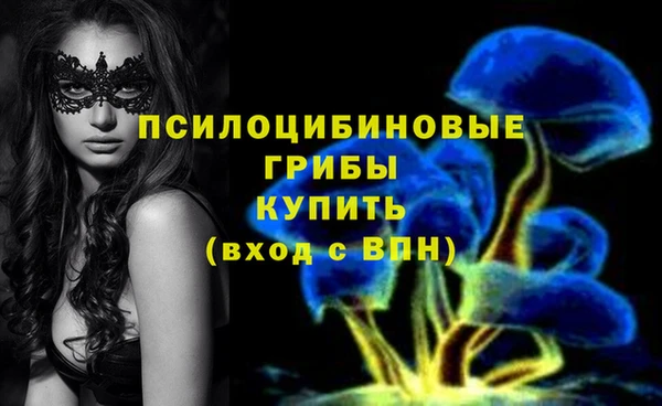 стафф Сосновка